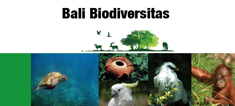 Bali Biodiversitas
